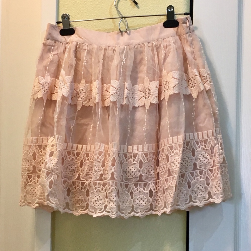 Embroidered Flowers on Chiffon Short Skirt